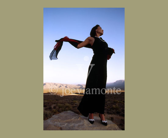 Photography Gallery | Joe Viamonte | Photographer | Artist | Designer | Digital Art | Viamonte Design