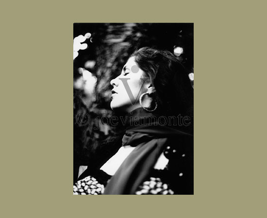 Photography Gallery | Joe Viamonte | Photographer | Artist | Designer | Digital Art | Viamonte Design