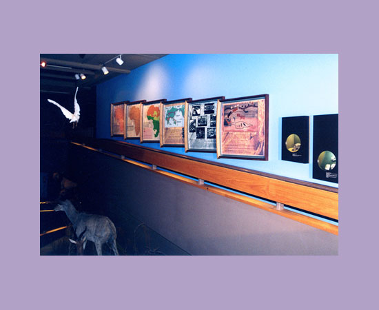 Viamonte Design | Museum Exhibit Projects | Museums | Stages | Events | Standbuilder | Designer