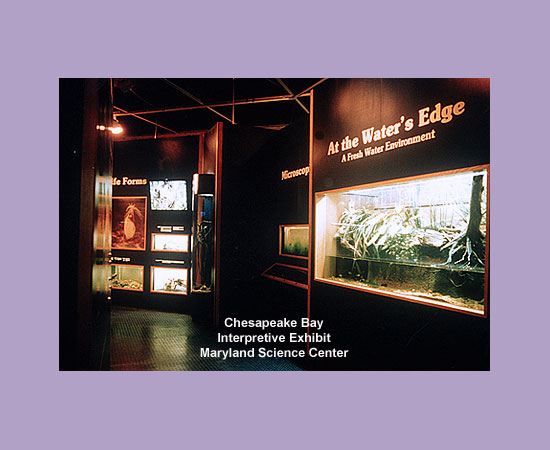 Viamonte Design | Museum Exhibit Projects | Museums | Stages | Events | Standbuilder | Designer