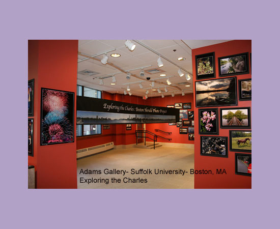 Viamonte Design | Museum Exhibit Projects | Museums | Stages | Events | Standbuilder | Designer